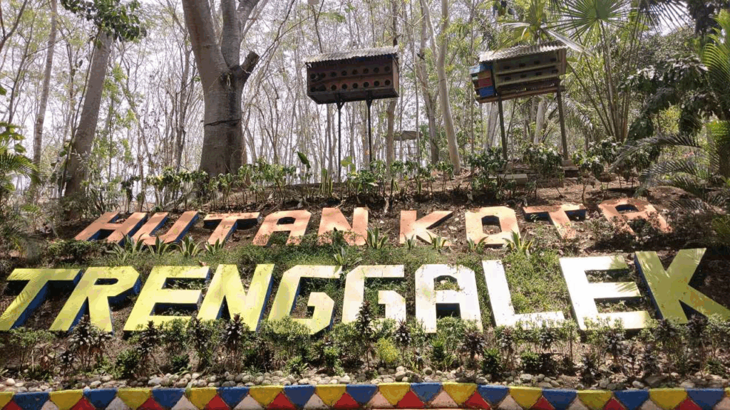 kegiatan di tempat outbound Trenggalek terbaik
