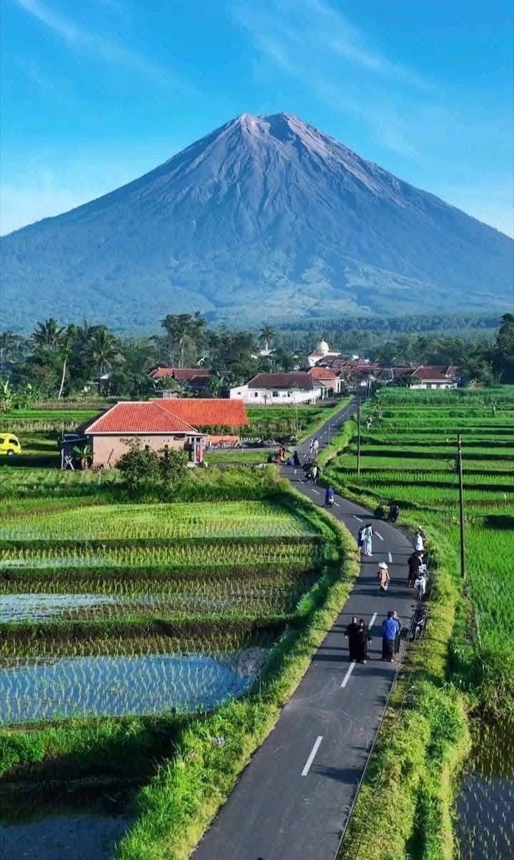 Suasana pedesaan asri di Desa Wisata Pujon Kidul dengan area persawahan, kafe sawah, dan latar pegunungan yang menenangkan.