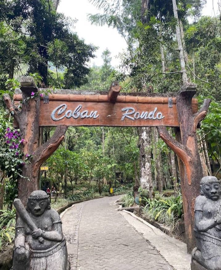 Peserta outbound mengikuti permainan tim di area hutan pinus Coban Rondo, dengan latar pepohonan rindang dan suasana alam pegunungan yang sejuk.