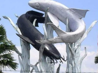 WhatsApp Image 2026-02-23 at 16.32.37